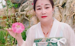 成品人短视频网站有哪些平台呢